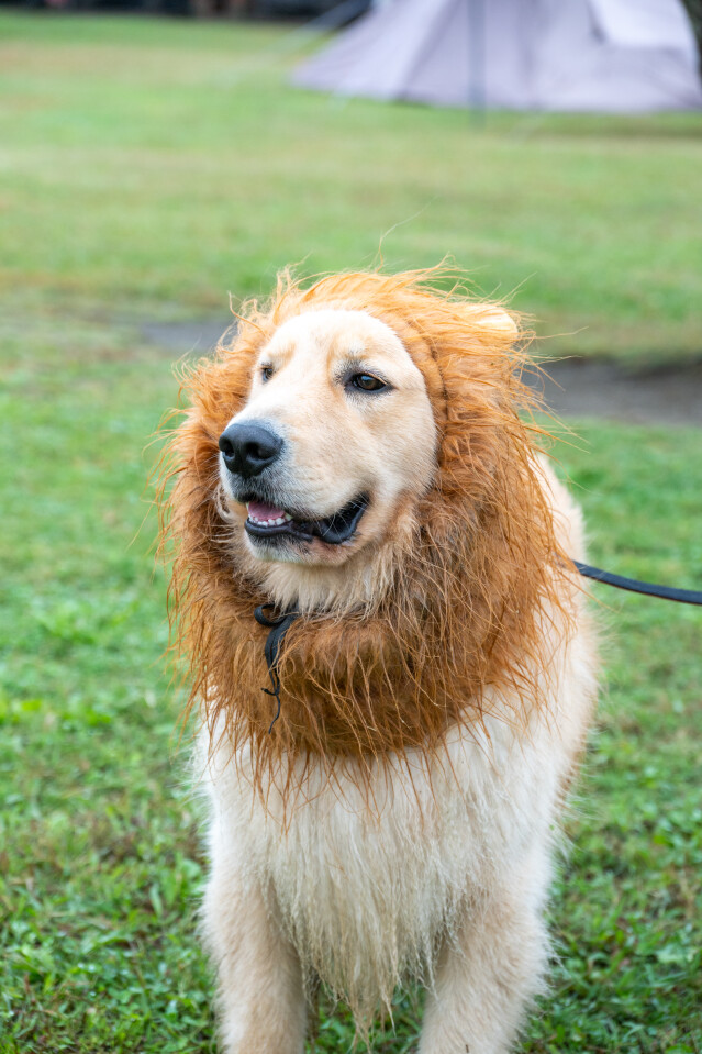 ソレイユ　2日目スナップ①