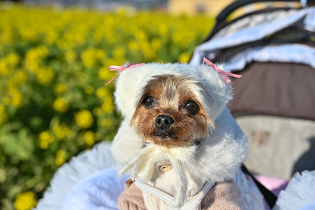 1/25 スナップ写真その２