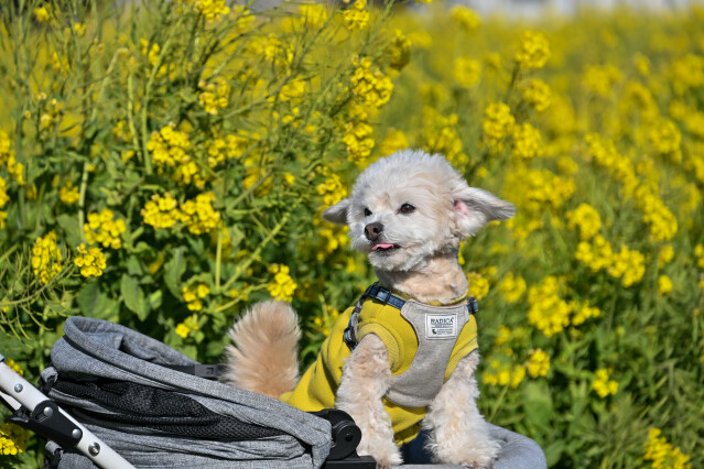 1/25　スナップ写真