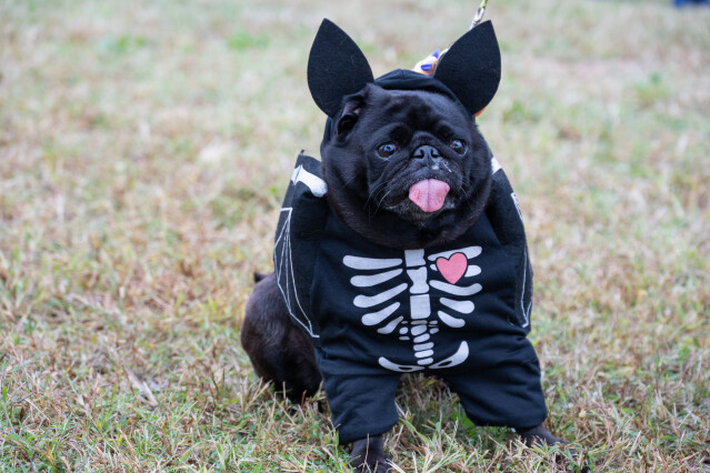 ソレイユ　2日目スナップ②