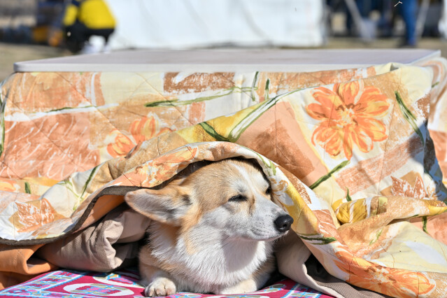 1/24　スナップ写真