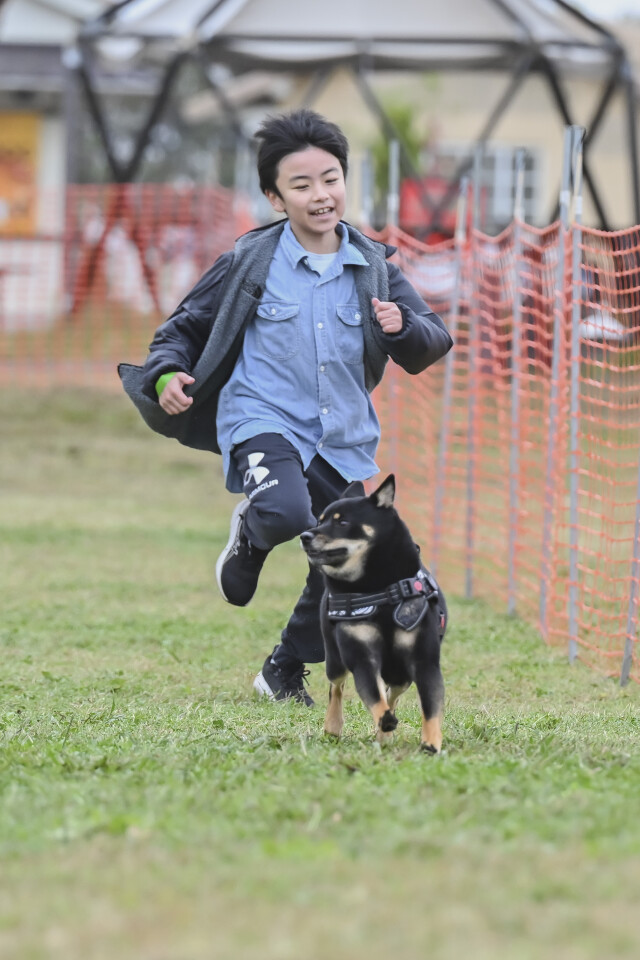 ソレイユ　ドックレース